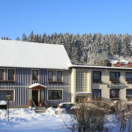 Haus Grüne Insel - Ferienwohnungen Altenau  Exterior foto